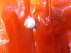 60533540 TAPPO POMPA ACQUA ALFA 75 NUOVO ORIGINALE