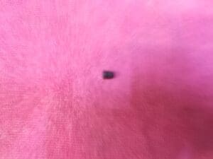 60507207 PERNO FERMO INIETTORE ALFA 33 75 164 NUOVO ORIGINALE